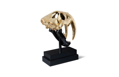 Phillips Collection Home Phillips Collection Saber Tooth Tiger Skull, Black, Gold Leaf