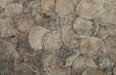 Phillips Collection Home Oversized LTL - Rate to be Quoted Phillips Collection Shell Coffee Table, w/Glass, Ming SS Legs