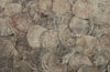 Phillips Collection Home Oversized LTL - Rate to be Quoted Phillips Collection Shell Coffee Table, w/Glass, Ming SS Legs