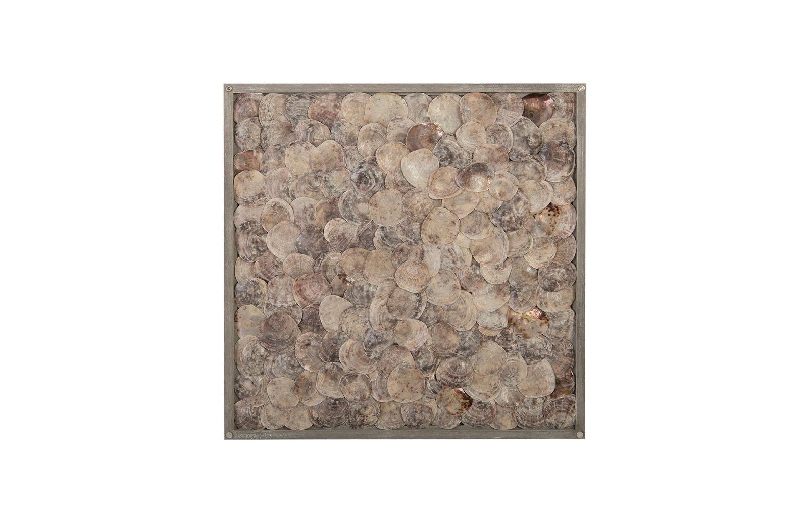 Phillips Collection Home Oversized LTL - Rate to be Quoted Phillips Collection Shell Coffee Table, w/Glass, Ming SS Legs