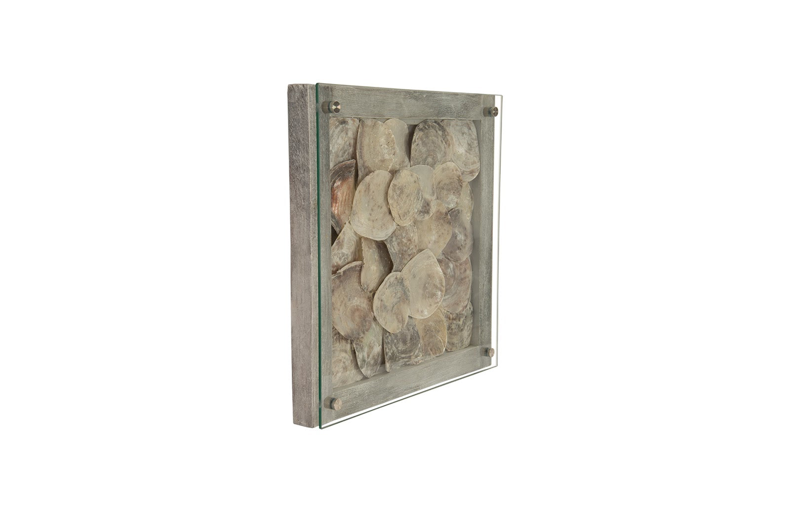 Phillips Collection Home Phillips Collection Shell Wall Tile, w/Glass