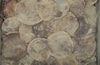 Phillips Collection Home Phillips Collection Shell Wall Tile, w/Glass