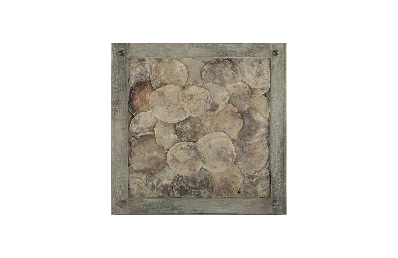 Phillips Collection Home Phillips Collection Shell Wall Tile, w/Glass