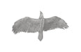 Phillips Collection Home Oversized LTL - Rate to be Quoted Phillips Collection Soaring Eagle Wall Art, Resin, Silver Leaf, LG