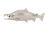 Phillips Collection Home Phillips Collection Sockeye Salmon Fish Wall Sculpture, Resin, Silver Leaf