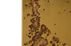 Phillips Collection Home Phillips Collection Splotch Wall Art, Rectangle, Gold Leaf