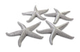 Phillips Collection Home Phillips Collection Starfish, Silver Leaf, Set of 4, LG