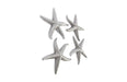 Phillips Collection Home Phillips Collection Starfish, Silver Leaf, Set of 4, MD