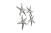 Phillips Collection Home Phillips Collection Starfish, Silver Leaf, Set of 4, MD