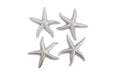 Phillips Collection Home Phillips Collection Starfish, Silver Leaf, Set of 4, MD