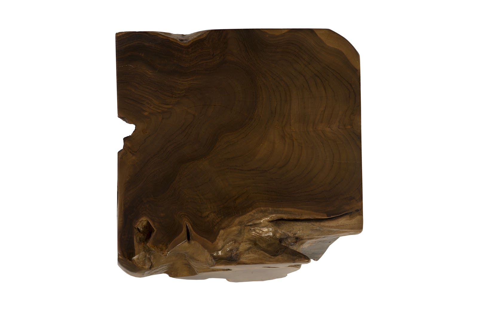 Phillips Collection Home Phillips Collection Teak Root Side Table