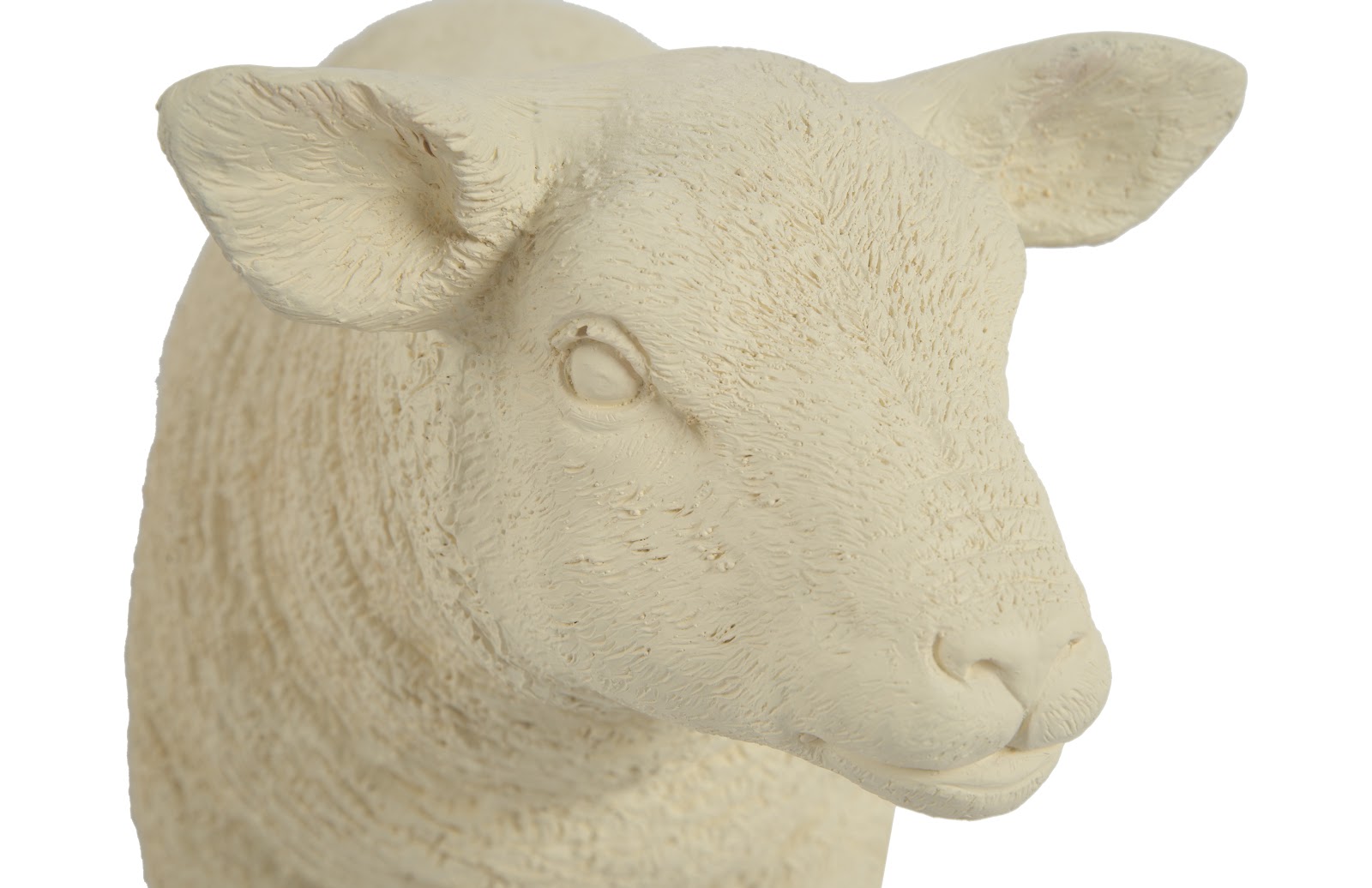 Phillips Collection Home Phillips Collection Texelaar Sheep, Lamb, Cream
