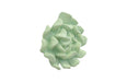 Phillips Collection Home Phillips Collection Topsy Turvy Succulent Wall Art, Jade