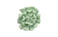 Phillips Collection Home Phillips Collection Topsy Turvy Succulent Wall Art, Jade