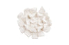 Phillips Collection Home Phillips Collection Topsy Turvy Succulent Wall Art , White Stone