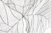 Phillips Collection Home Oversized LTL - Rate to be Quoted Phillips Collection Tri Leaf Wall Art, Large, Metal, Silver/Black