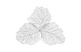 Phillips Collection Home Oversized LTL - Rate to be Quoted Phillips Collection Tri Leaf Wall Art, Large, Metal, Silver/Black