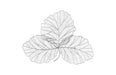 Phillips Collection Home Oversized LTL - Rate to be Quoted Phillips Collection Tri Leaf Wall Art, Small, Metal, Silver/Black