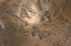 Phillips Collection Home Oversized LTL - Rate to be Quoted Phillips Collection Trifoil Coffee Table, Bronze w/ Glass