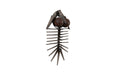 Phillips Collection Home Phillips Collection Trilobites Wall Decor, Metal