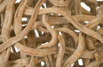 Phillips Collection Home Phillips Collection Vine Ball, 27" Diameter
