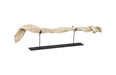 Phillips Collection Home Phillips Collection Vine on Stand