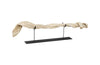Phillips Collection Home Phillips Collection Vine on Stand