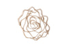 Phillips Collection Home Phillips Collection Vine Wall Flower