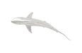 Phillips Collection Home Phillips Collection Whaler Shark, Silver Leaf