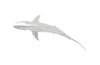 Phillips Collection Home Phillips Collection Whaler Shark, Silver Leaf