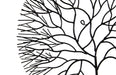 Phillips Collection Home Phillips Collection Wire Tree Wall Art, Medium, Circle, Metal, Black