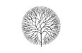 Phillips Collection Home Phillips Collection Wire Tree Wall Art, Medium, Circle, Metal, Black