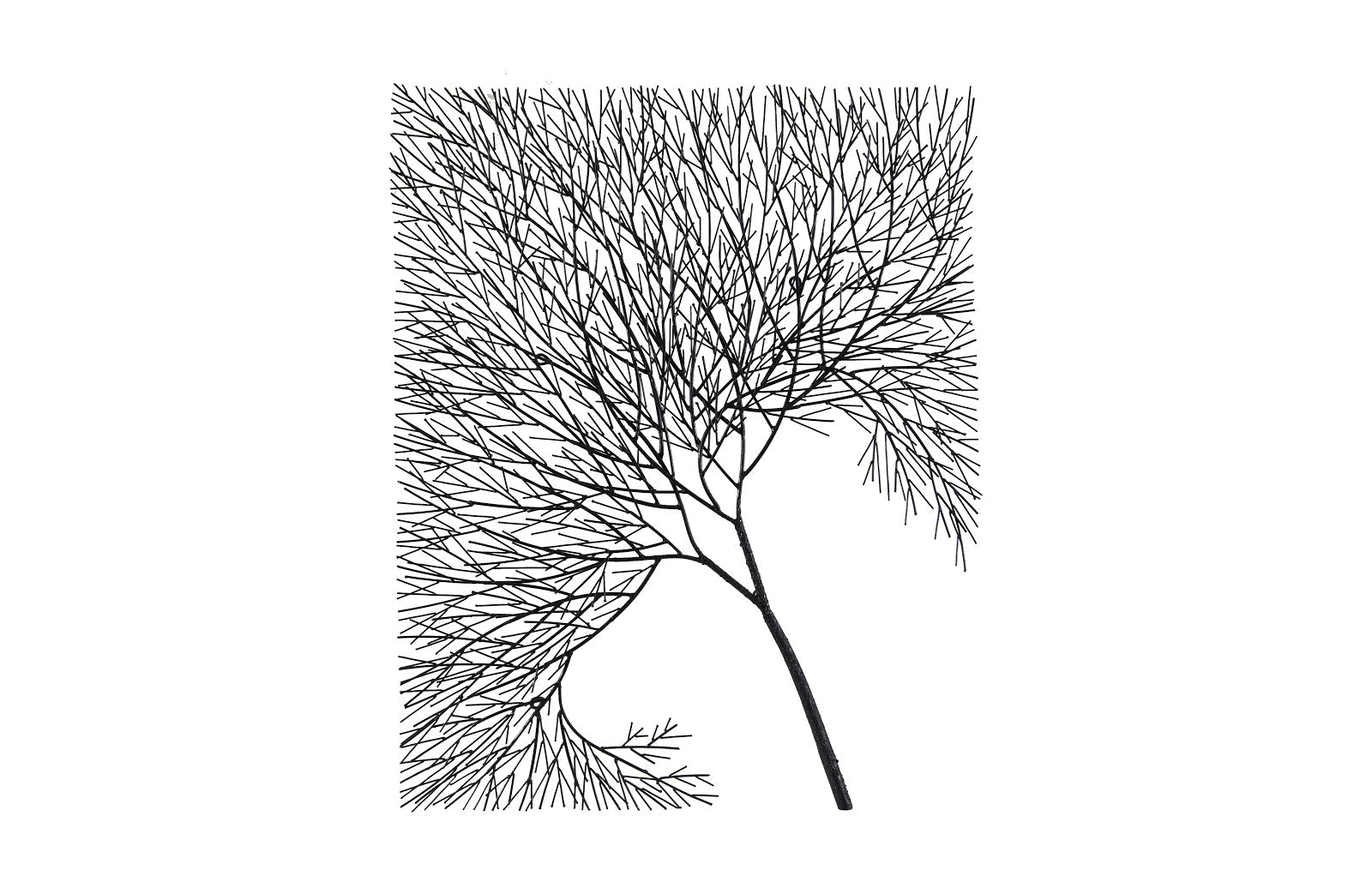 Phillips Collection Home Phillips Collection Wire Tree Wall Art, Rectangular, Metal, Black