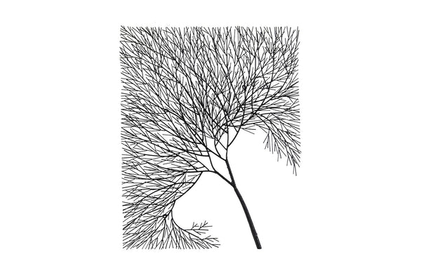 Phillips Collection Home Phillips Collection Wire Tree Wall Art, Rectangular, Metal, Black