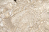 Phillips Collection Home Phillips Collection Wisp Wall Tile, Chamcha Wood, Silver Leaf on Black