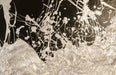 Phillips Collection Home Phillips Collection Wisp Wall Tile, Chamcha Wood, Silver Leaf on Black