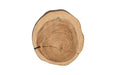 Phillips Collection Home Phillips Collection Wisp Wall Tile, Chamcha Wood, Silver Leaf on Black