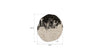 Phillips Collection Home Phillips Collection Wisp Wall Tile, Chamcha Wood, Silver Leaf on Black