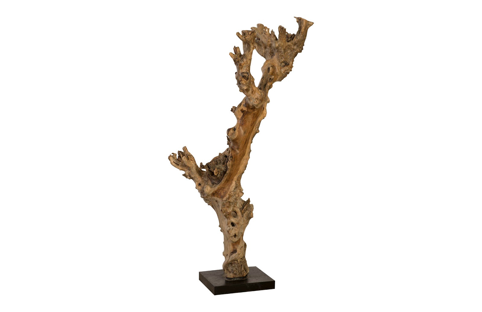 Phillips Collection Home Oversized LTL - Rate to be Quoted Phillips Collection Wood Sculpture