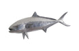 Phillips Collection Home Phillips Collection Yellow Tailed King Fish Wall Sculpture, Resin, Polished Aluminum Finish