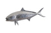 Phillips Collection Home Phillips Collection Yellow Tailed King Fish Wall Sculpture, Resin, Polished Aluminum Finish