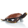 SPI Home Home Alex the Turtle