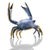 SPI Home Home Blue Crab