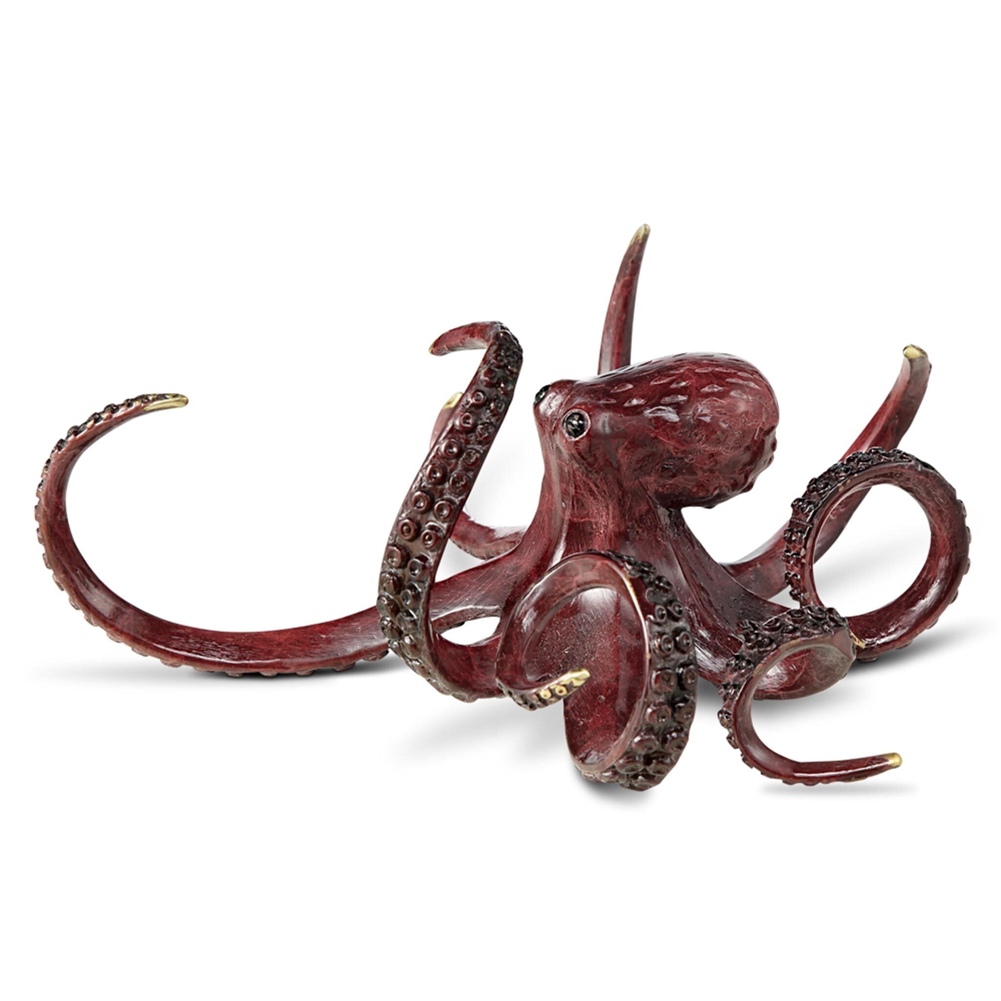 SPI Home Home Curious Octopus