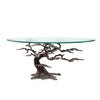 SPI Home Home Cypress Tree Coffee Table