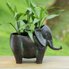 SPI Home Home Elephant Planter Holder