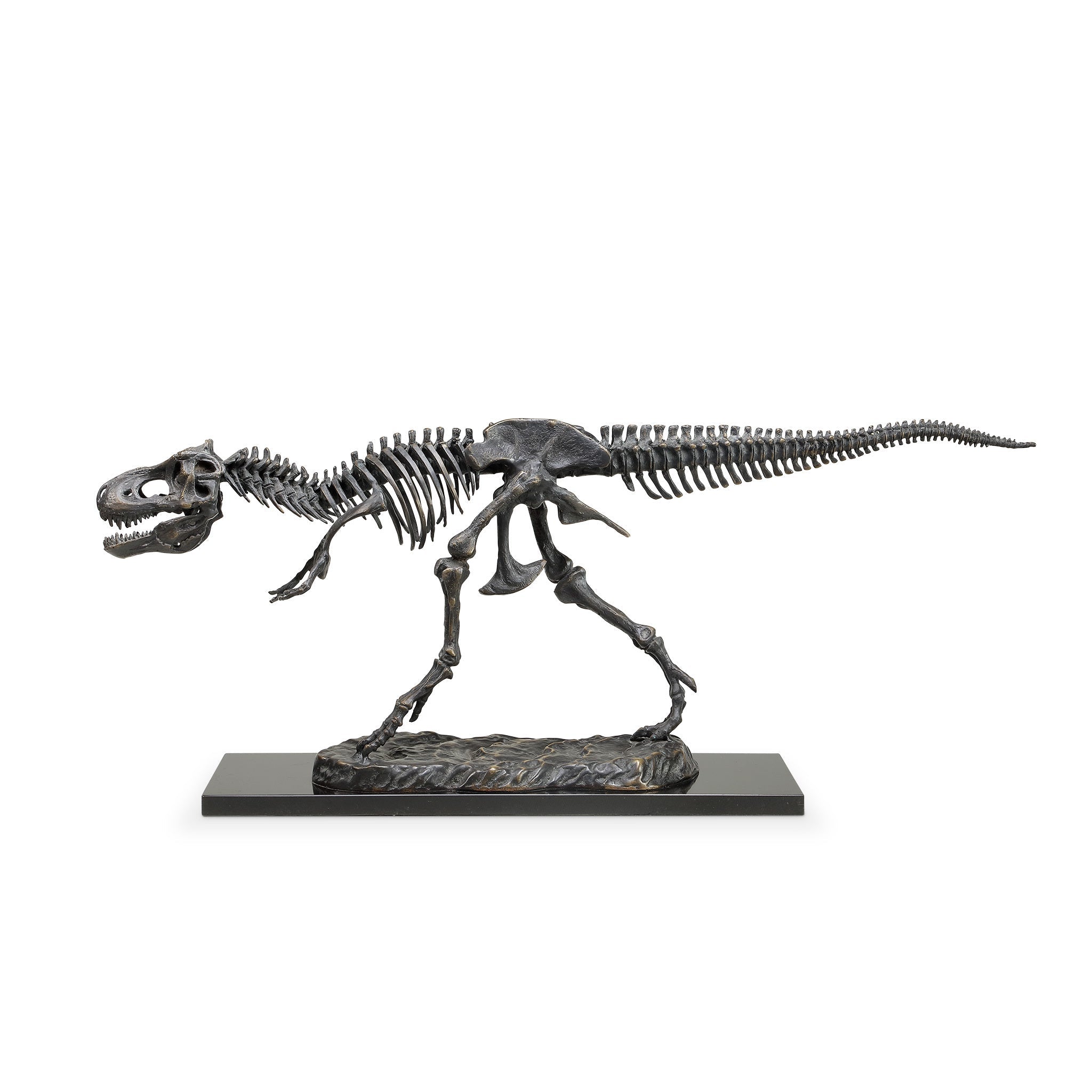 SPI Home Home Fierce Tyrannosaurus Rex Skeleton