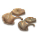 SPI Home Home Gingko Leaf Trays S/2