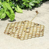 SPI Home Home Honeycomb and Bee Sundial