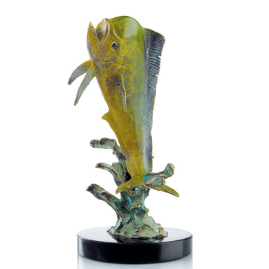 SPI Home Home Little Bully (Mahi Mahi)